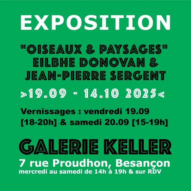 EXPOSITION EN DUO : "OISEAUX & PAYSAGES" EILBHE DONAVAN (IRLANDE) & JEAN-PIERRE SERGENT (FRANCE)