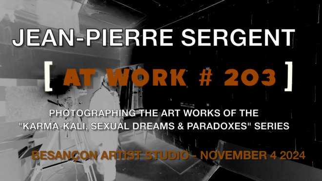Portrait-Vidéo #203, l'artiste photographie les œuvres des 