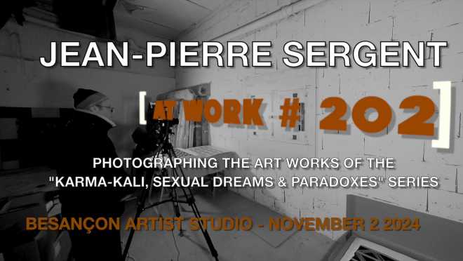 Portrait-Vidéo #202, l'artiste photographie les œuvres des 