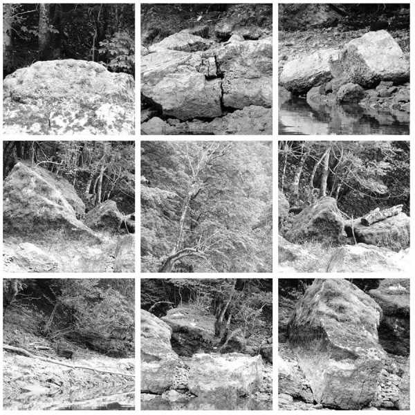 Jean-Pierre Sergent, "Water, Rocks, Trees & Skies" #2, photos from canoe trips over the Doubs River