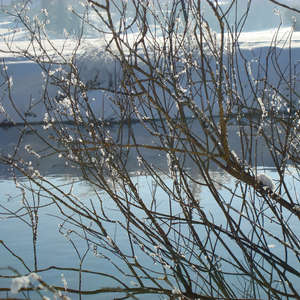 Image 22 - PHOTOS WATER, TREES & SNOW, JP Sergent