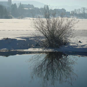Image 26 - PHOTOS WATER, TREES & SNOW, JP Sergent