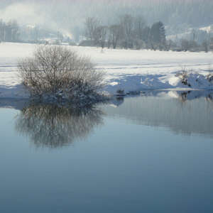Image 24 - PHOTOS WATER, TREES & SNOW, JP Sergent