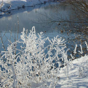 Image 33 - PHOTOS WATER, TREES & SNOW, JP Sergent