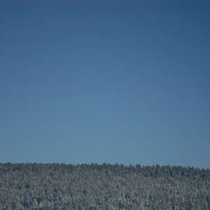 Image 37 - PHOTOS WATER, TREES & SNOW, JP Sergent