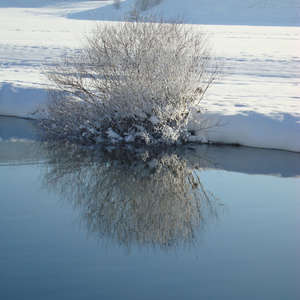 Image 34 - PHOTOS WATER, TREES & SNOW, JP Sergent
