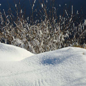 Image 35 - PHOTOS WATER, TREES & SNOW, JP Sergent
