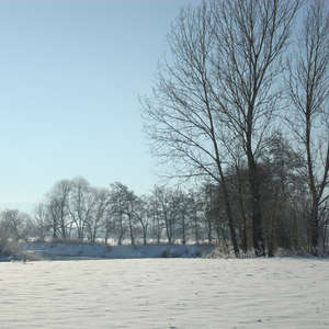 Image 1 - PHOTOS WATER, TREES & SNOW, JP Sergent