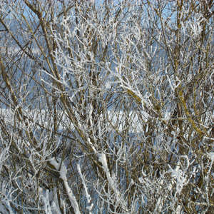 Image 7 - PHOTOS WATER, TREES & SNOW, JP Sergent