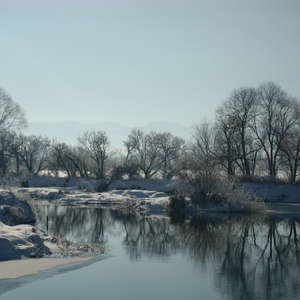 Image 5 - PHOTOS WATER, TREES & SNOW, JP Sergent