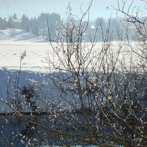 Image 10 - PHOTOS WATER, TREES & SNOW, JP Sergent