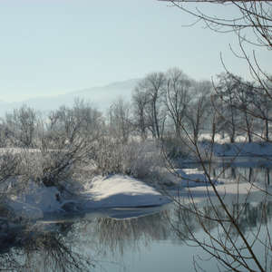Image 16 - PHOTOS WATER, TREES & SNOW, JP Sergent