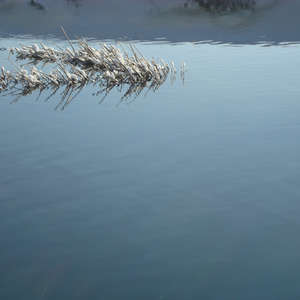 Image 18 - PHOTOS WATER, TREES & SNOW, JP Sergent