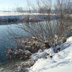 Image 19 - PHOTOS WATER, TREES & SNOW, JP Sergent