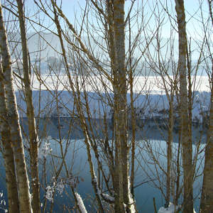 Image 73 - PHOTOS WATER, TREES & SNOW, JP Sergent