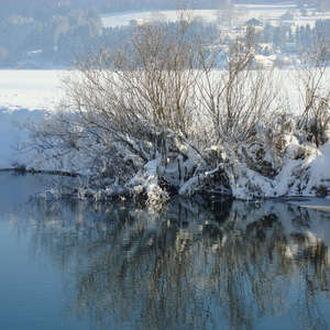 Image 74 - PHOTOS WATER, TREES & SNOW, JP Sergent