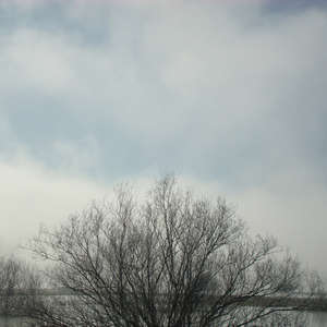 Image 79 - PHOTOS WATER, TREES & SNOW, JP Sergent