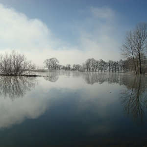 Image 77 - PHOTOS WATER, TREES & SNOW, JP Sergent