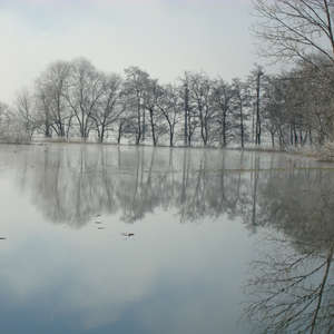 Image 81 - PHOTOS WATER, TREES & SNOW, JP Sergent