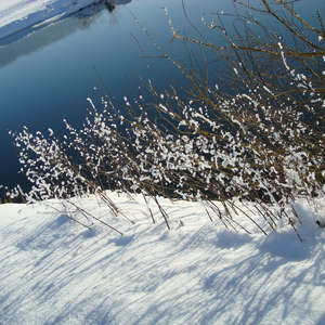 Image 41 - PHOTOS WATER, TREES & SNOW, JP Sergent