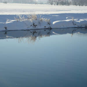 Image 39 - PHOTOS WATER, TREES & SNOW, JP Sergent