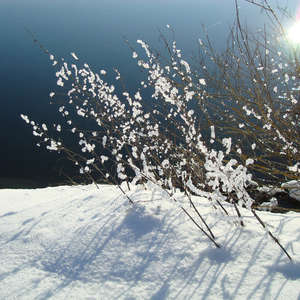 Image 40 - PHOTOS WATER, TREES & SNOW, JP Sergent