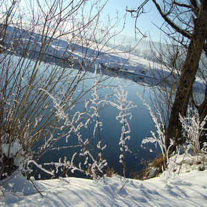 Image 43 - PHOTOS WATER, TREES & SNOW, JP Sergent