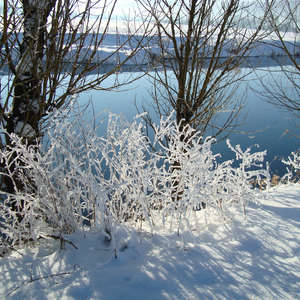 Image 44 - PHOTOS WATER, TREES & SNOW, JP Sergent