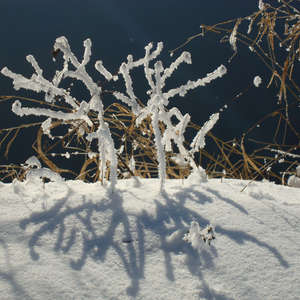 Image 48 - PHOTOS WATER, TREES & SNOW, JP Sergent
