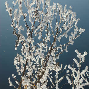 Image 56 - PHOTOS WATER, TREES & SNOW, JP Sergent