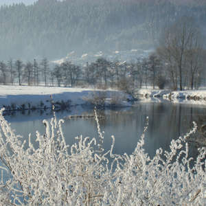 Image 58 - PHOTOS WATER, TREES & SNOW, JP Sergent