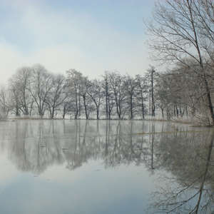 Image 82 - PHOTOS WATER, TREES & SNOW, JP Sergent
