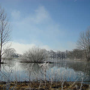 Image 88 - PHOTOS WATER, TREES & SNOW, JP Sergent
