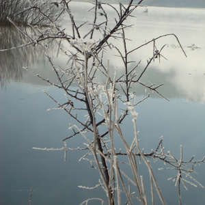 Image 91 - PHOTOS WATER, TREES & SNOW, JP Sergent