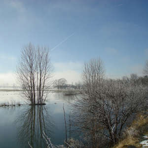 Image 94 - PHOTOS WATER, TREES & SNOW, JP Sergent