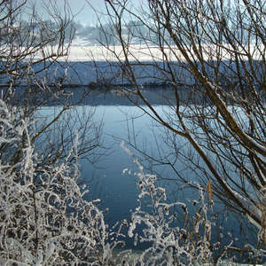 Image 61 - PHOTOS WATER, TREES & SNOW, JP Sergent