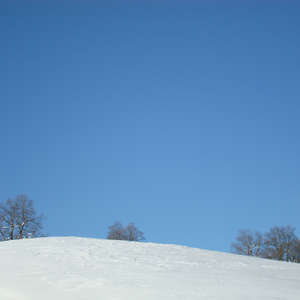 Image 111 - PHOTOS WATER, TREES & SNOW, JP Sergent