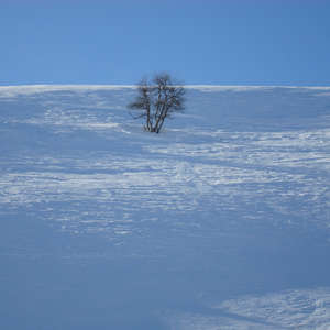 Image 112 - PHOTOS WATER, TREES & SNOW, JP Sergent