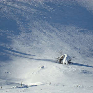 Image 103 - PHOTOS WATER, TREES & SNOW, JP Sergent