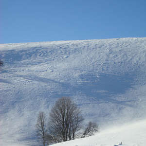 Image 106 - PHOTOS WATER, TREES & SNOW, JP Sergent