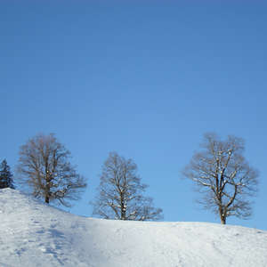 Image 108 - PHOTOS WATER, TREES & SNOW, JP Sergent
