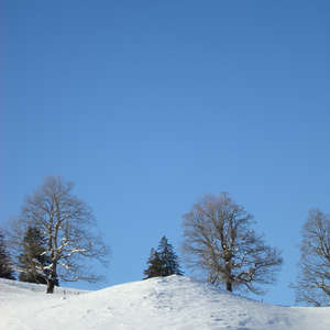 Image 107 - PHOTOS WATER, TREES & SNOW, JP Sergent