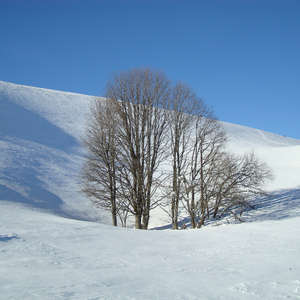 Image 105 - PHOTOS WATER, TREES & SNOW, JP Sergent