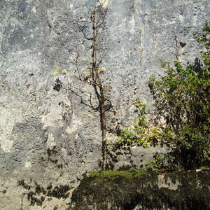 Image 315 - Jean-Pierre sergent, Water, Rocks, Trees & Flowers, April 2014, JP Sergent