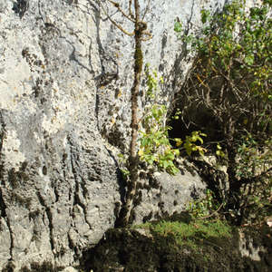 Image 319 - Jean-Pierre sergent, Water, Rocks, Trees & Flowers, April 2014, JP Sergent