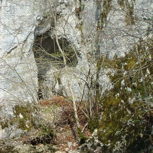 Image 5 - Jean-Pierre sergent, Water, Rocks, Trees & Flowers, April 2014, JP Sergent
