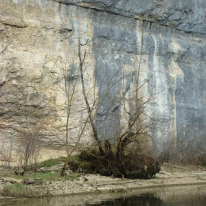 Image 87 - Jean-Pierre sergent, Water, Rocks, Trees & Flowers, April 2014, JP Sergent