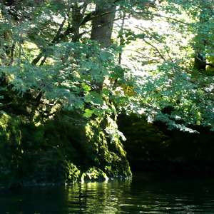 Image 228 - Jean-Pierre sergent, Water, Rocks, Trees & Flowers, April 2014, JP Sergent