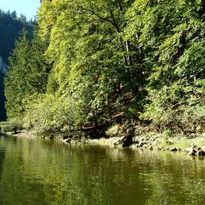 Image 227 - Jean-Pierre sergent, Water, Rocks, Trees & Flowers, April 2014, JP Sergent