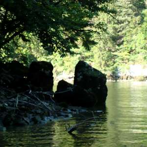 Image 221 - Jean-Pierre sergent, Water, Rocks, Trees & Flowers, April 2014, JP Sergent